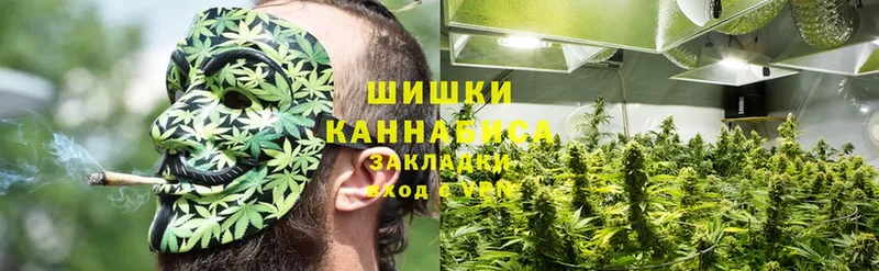 Шишки марихуана White Widow  Алексин 